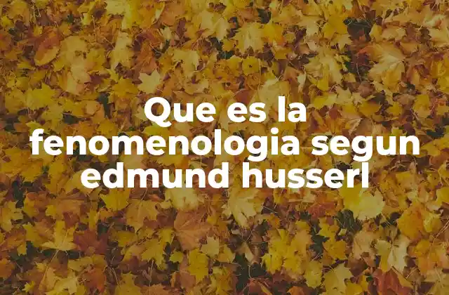 Que es la Fenomenologia Segun Edmund Husserl