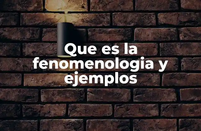 Que es la Fenomenologia y Ejemplos