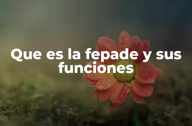 El papel de la FEPADe en el desarrollo rural sostenible