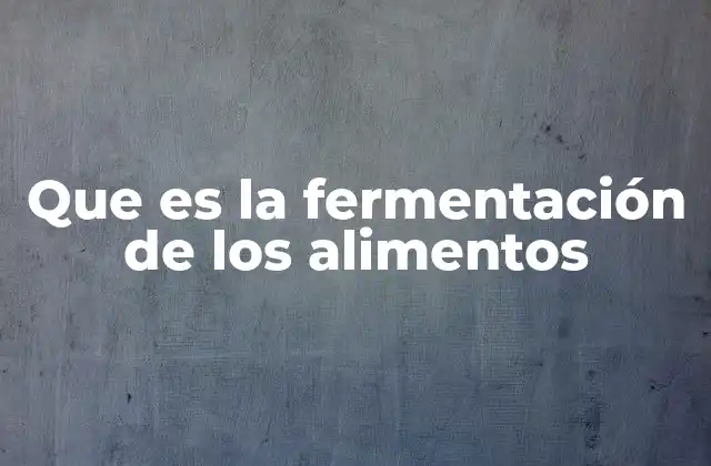 Que es la Fermentación de los Alimentos