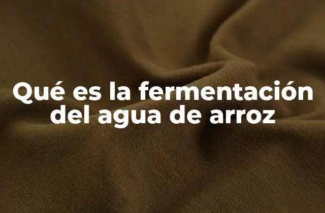 Qué es la Fermentación Del Agua de Arroz