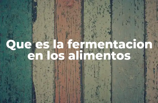 Que es la Fermentacion en los Alimentos