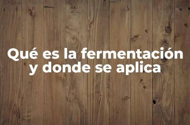 Qué es la Fermentación y Donde Se Aplica