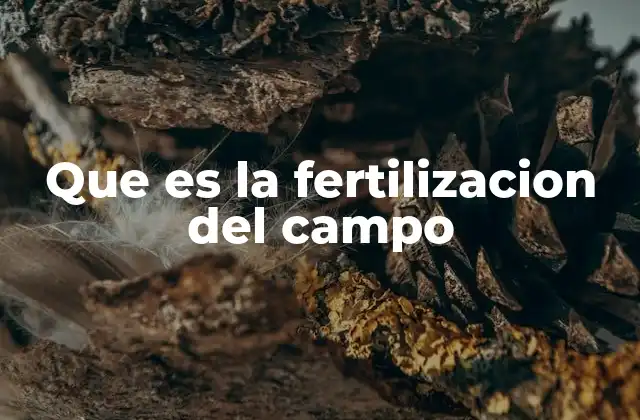 Que es la Fertilizacion Del Campo