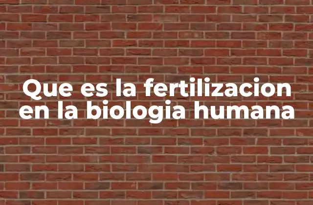 Que es la Fertilizacion en la Biologia Humana
