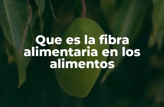Que es la Fibra Alimentaria en los Alimentos 2 La importancia de incluir fibra en la dieta diaria