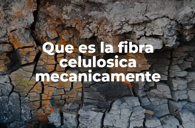 Que es la Fibra Celulosica Mecanicamente