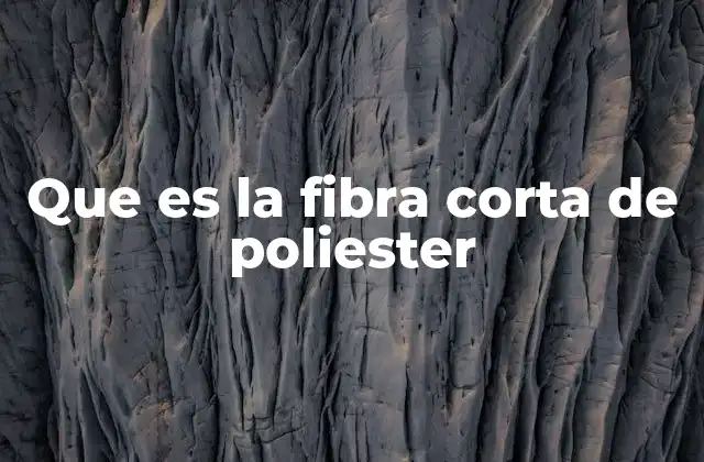 Que es la Fibra Corta de Poliester