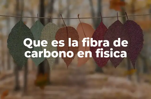 Que es la Fibra de Carbono en Fisica