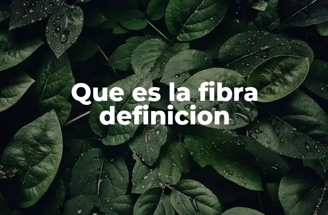 Que es la Fibra Definicion
