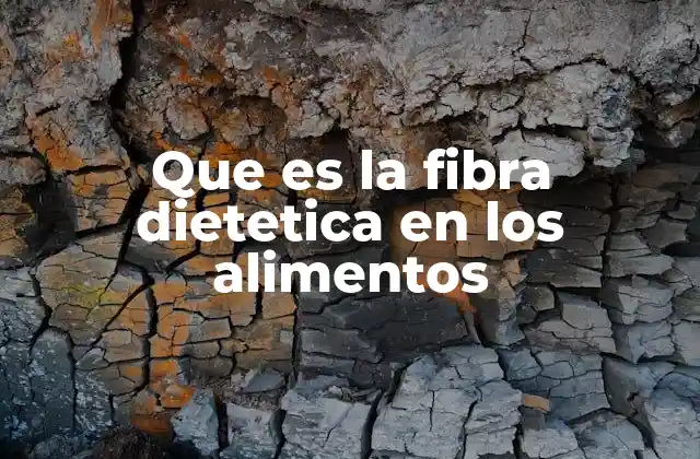 Que es la Fibra Dietetica en los Alimentos