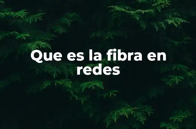 Que es la Fibra en Redes