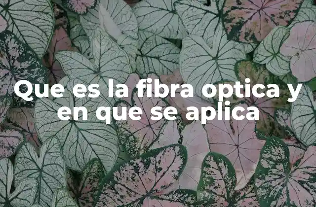 Que es la Fibra Optica y en que Se Aplica