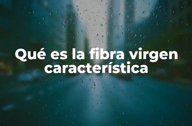 Qué es la Fibra Virgen Característica