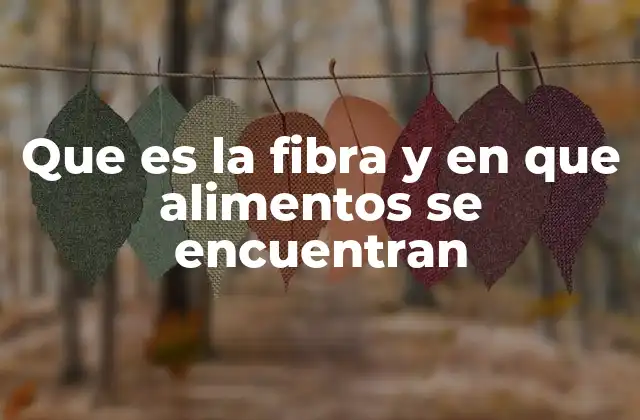 Que es la Fibra y en que Alimentos Se Encuentran