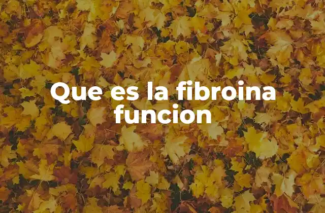 Que es la Fibroina Funcion