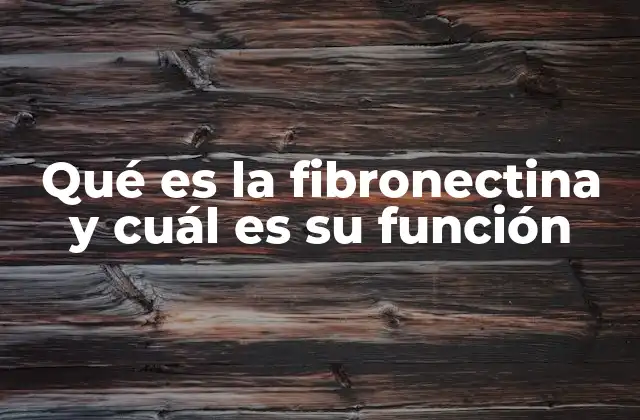 Qué es la Fibronectina y Cuál es Su Función