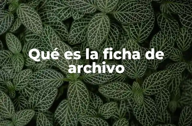 Qué es la Ficha de Archivo