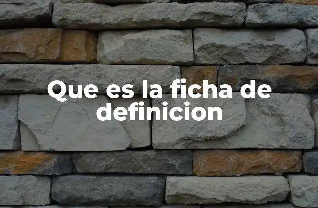 Que es la Ficha de Definicion