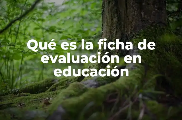 Qué es la Ficha de Evaluación en Educación