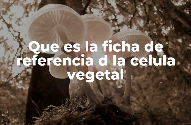 Que es la Ficha de Referencia D la Celula Vegetal