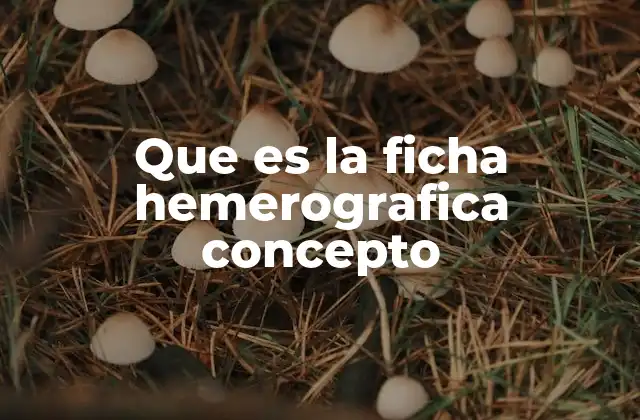 Que es la Ficha Hemerografica Concepto