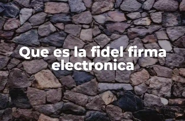 Que es la Fidel Firma Electronica