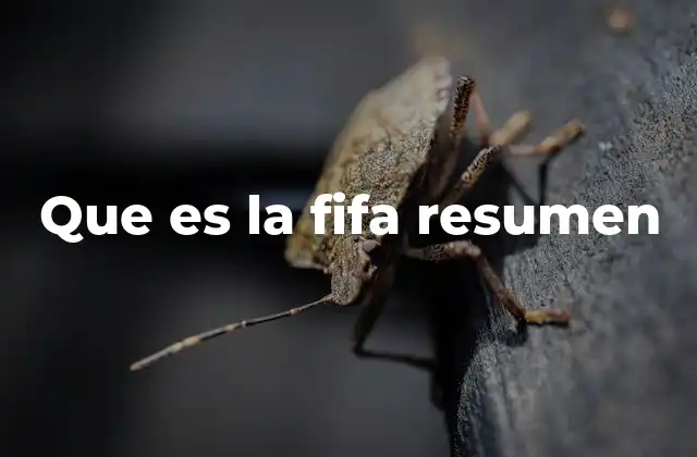 Que es la Fifa Resumen