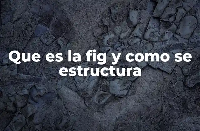 Que es la Fig y como Se Estructura