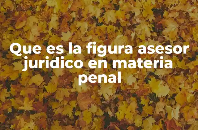 Que es la Figura Asesor Juridico en Materia Penal
