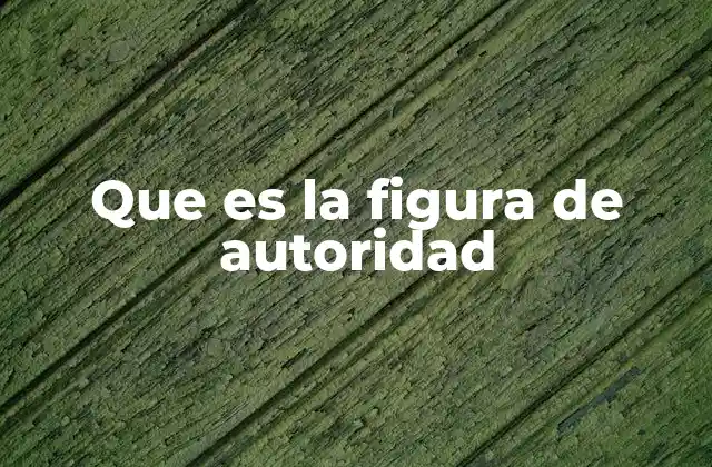 Que es la Figura de Autoridad