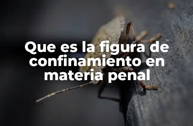 Que es la Figura de Confinamiento en Materia Penal 2 El impacto del confinamiento en el sistema penal