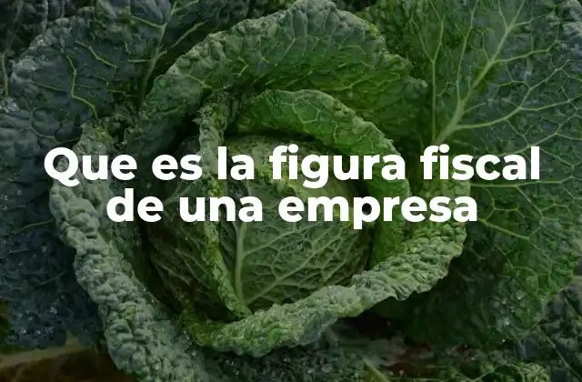 Que es la Figura Fiscal de una Empresa