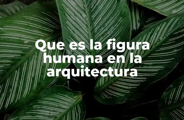 Que es la Figura Humana en la Arquitectura
