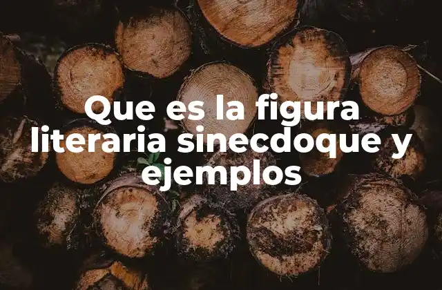 Que es la Figura Literaria Sinecdoque y Ejemplos