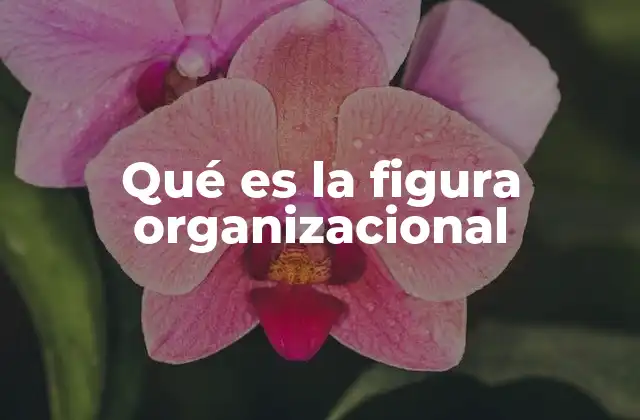 Qué es la Figura Organizacional