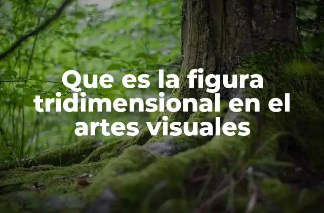 Que es la Figura Tridimensional en el Artes Visuales