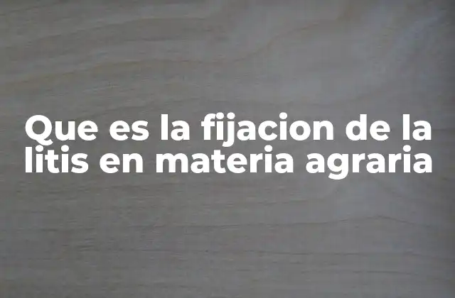 La importancia de la fijación de la litis en el proceso