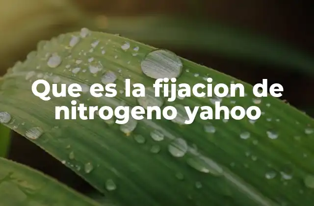 Que es la Fijacion de Nitrogeno Yahoo