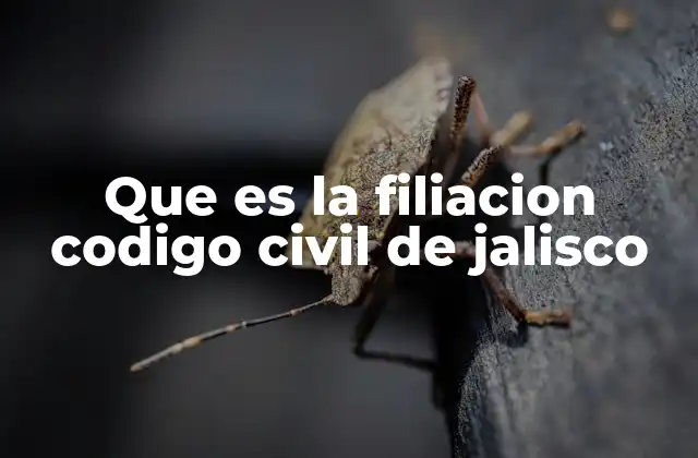 Que es la Filiacion Codigo Civil de Jalisco