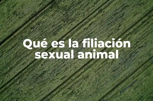 Qué es la Filiación Sexual Animal