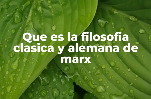 Que es la Filosofia Clasica y Alemana de Marx 2 Orígenes y evolución del pensamiento filosófico en la Alemania del siglo XIX