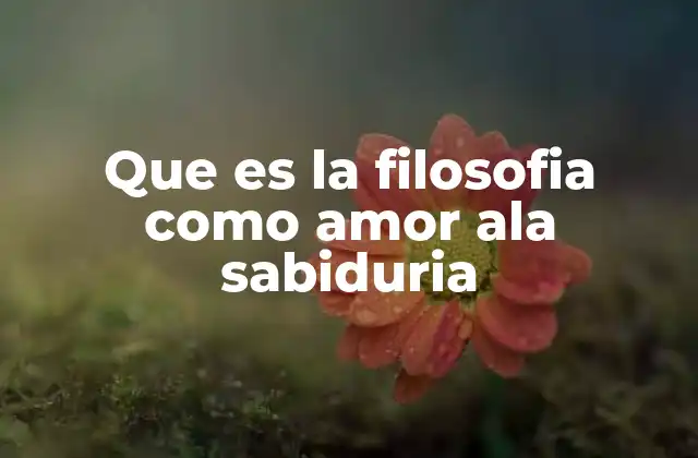 Que es la Filosofia como Amor Ala Sabiduria