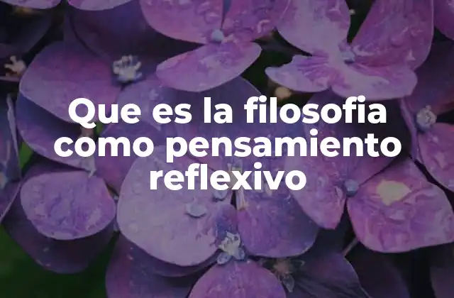 El pensamiento reflexivo como herramienta de análisis