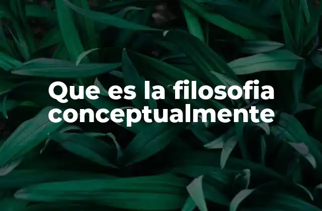 Que es la Filosofia Conceptualmente