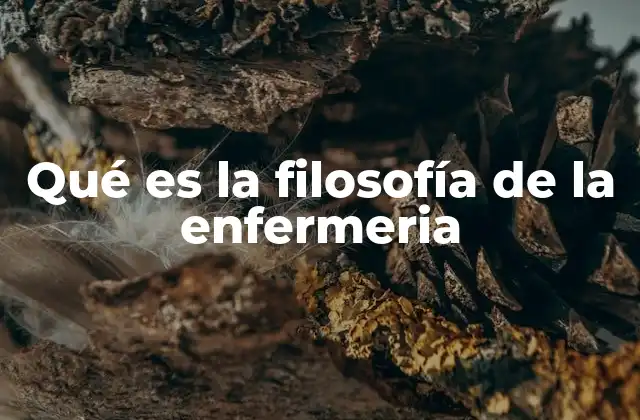 Qué es la Filosofía de la Enfermeria