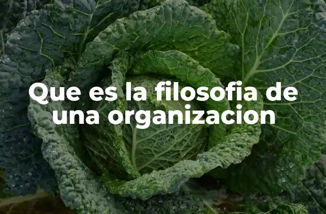 Que es la Filosofia de una Organizacion