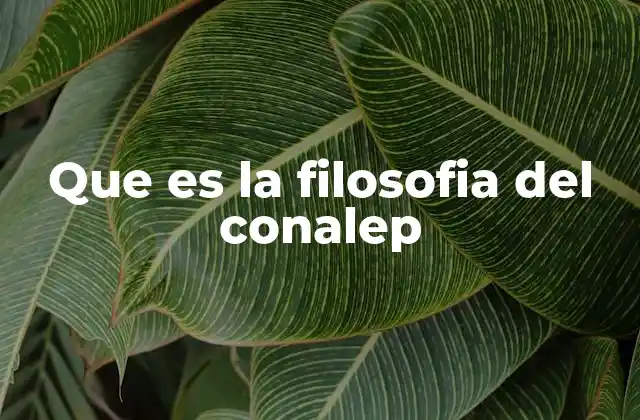 Que es la Filosofia Del Conalep