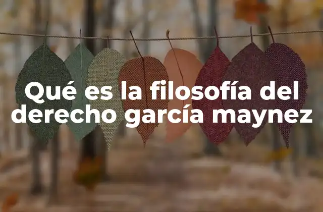 Qué es la Filosofía Del Derecho García Maynez
