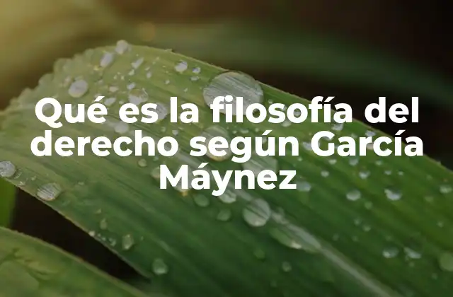 Qué es la Filosofía Del Derecho según García Máynez